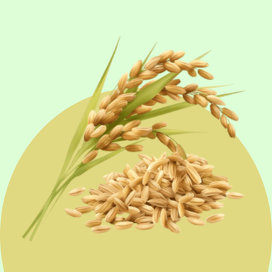 Crop Seeds