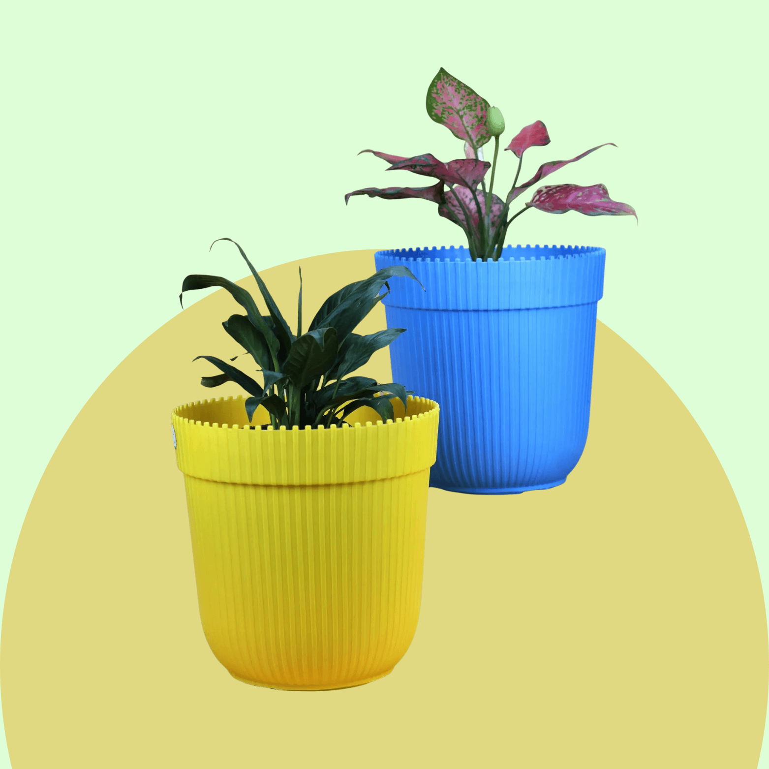 PVC Pots