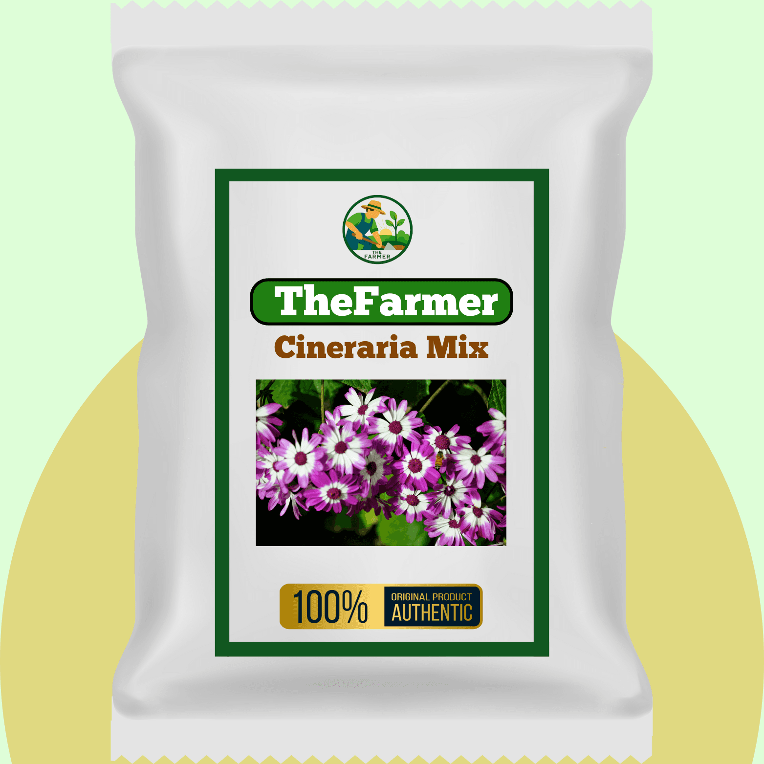 Cineraria Mix