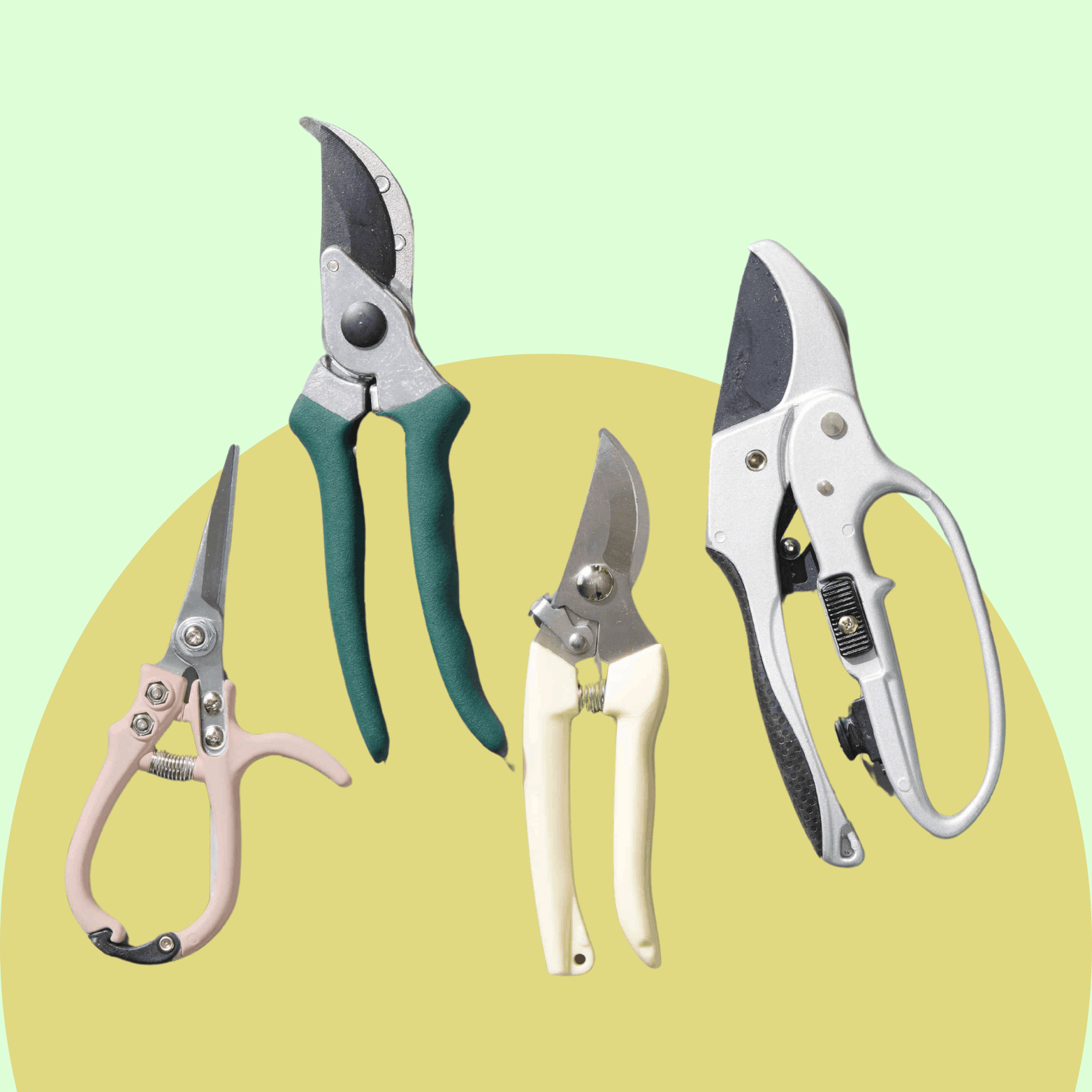 Plant Care & Maintenance Tools
