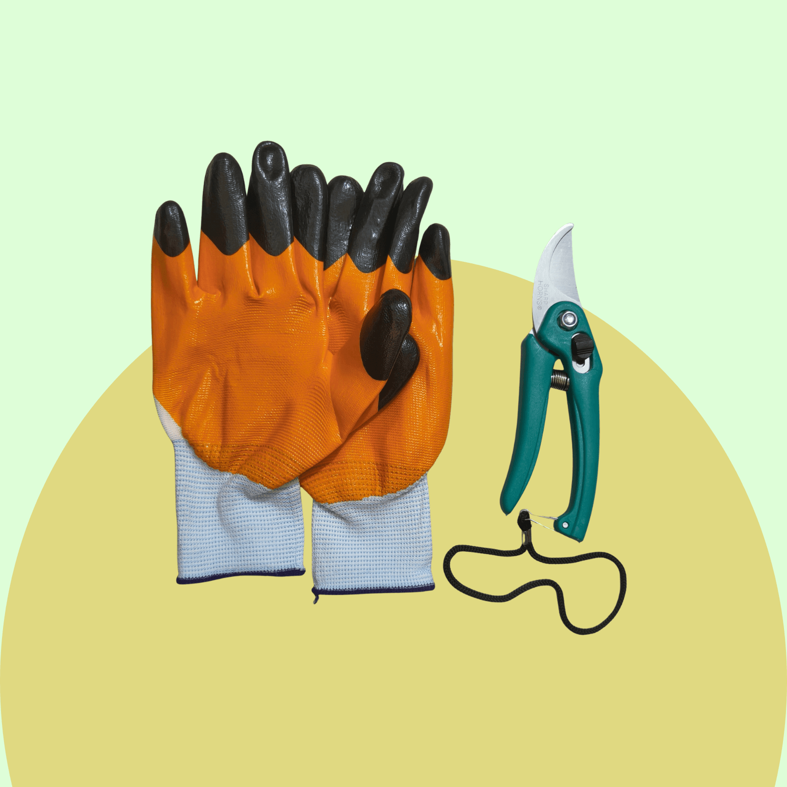 Hand Gloves & Pruner Set
