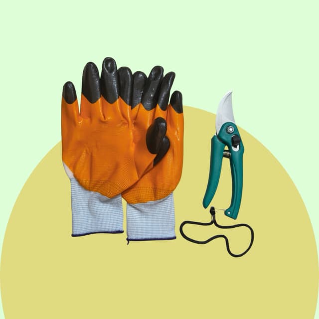 Hand Gloves & Pruner Set