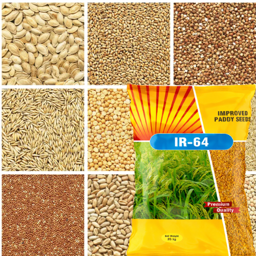 Seeds