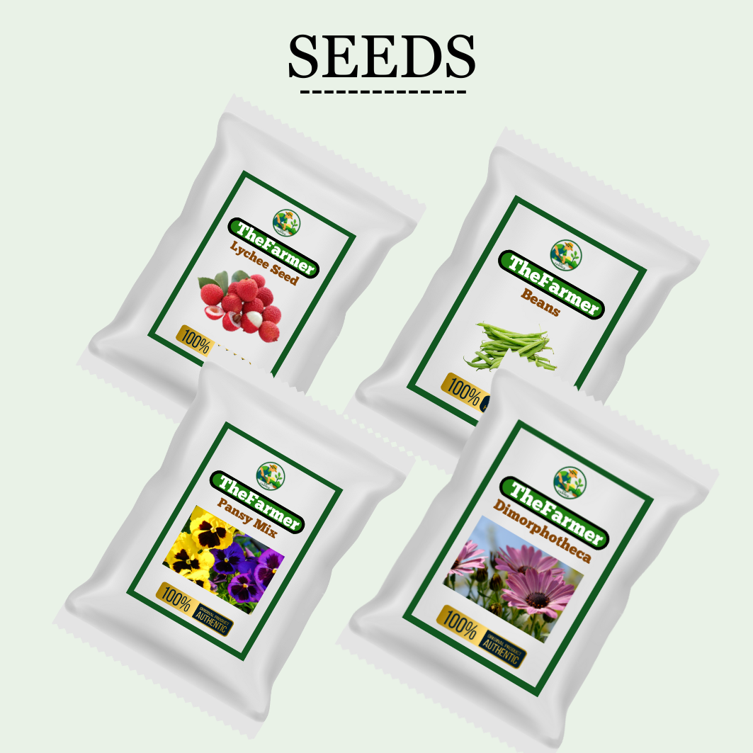 Seeds